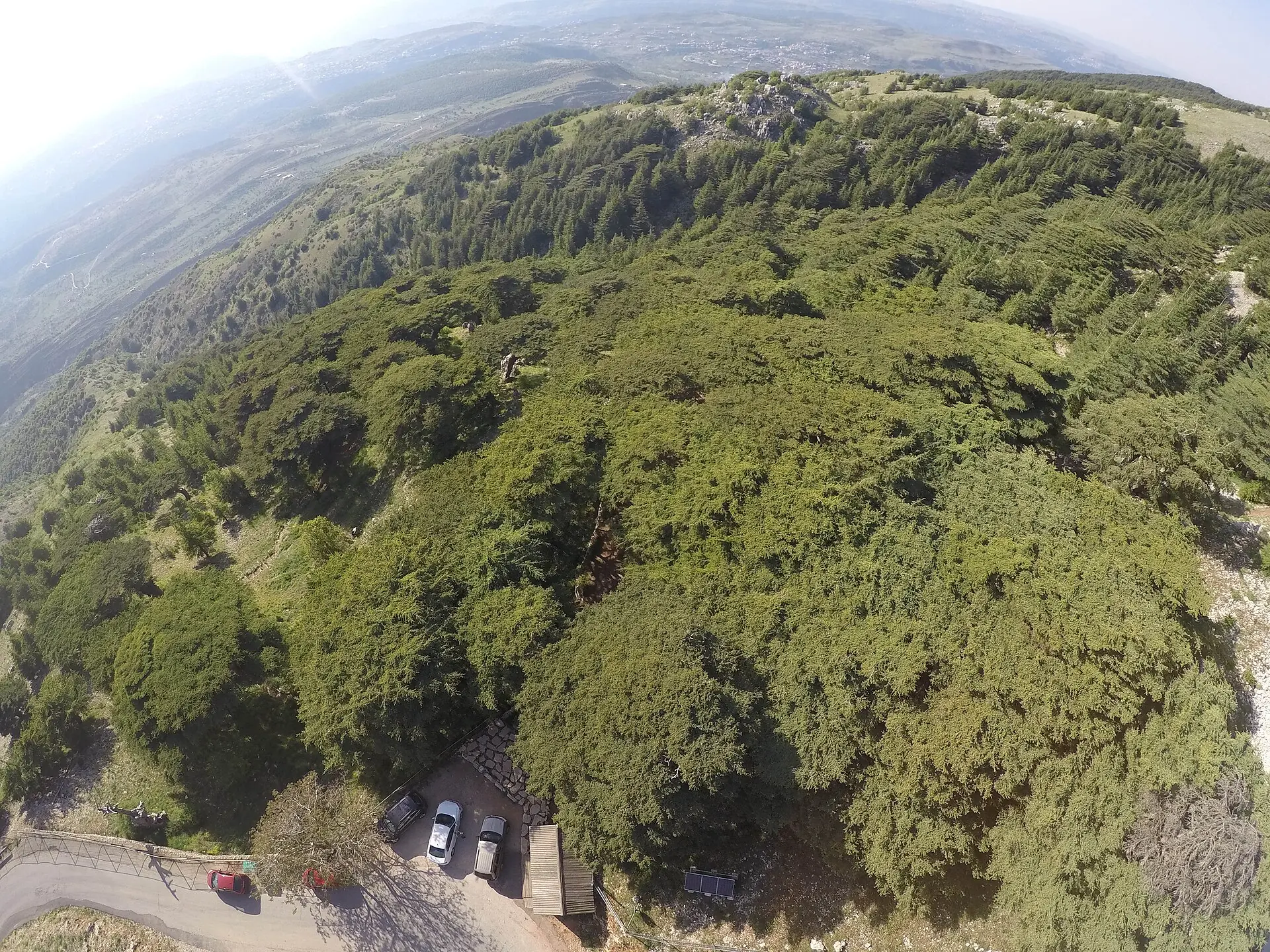 Shouf Biosphere Reserve